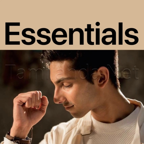 Anirudh Ravichander Essentials (2023)